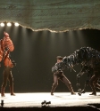 War Horse: Photo By Ros O'Gorman