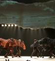 War Horse: Photo By Ros O'Gorman