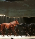 War Horse: Photo By Ros O'Gorman