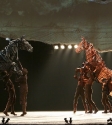 War Horse: Photo By Ros O'Gorman