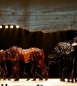 War Horse: Photo By Ros O'Gorman