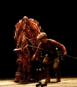 War Horse: Photo By Ros O'Gorman