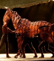 War Horse: Photo By Ros O'Gorman