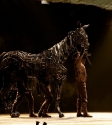 War Horse: Photo By Ros O'Gorman