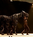 War Horse: Photo By Ros O'Gorman