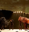 War Horse: Photo By Ros O'Gorman