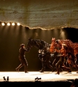 War Horse: Photo By Ros O'Gorman