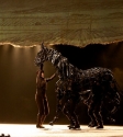 War Horse: Photo By Ros O'Gorman