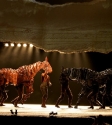 War Horse: Photo By Ros O'Gorman