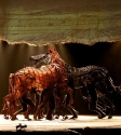 War Horse: Photo By Ros O'Gorman