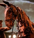 warhorseimg_46002012-12-30-1