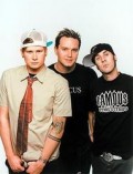 Blink 182, photo, Noise11