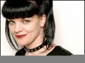 Pauley Perrette