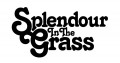 Splendour2011Logo