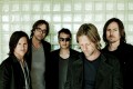 Switchfoot