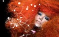 Björk, music news, noise11.com