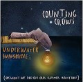 Counting Crows Underwater Sunshine