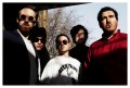 Hot Chip, music news, noise11.com