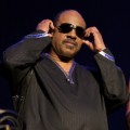 Stevie Wonder image by Ros O'Gorman