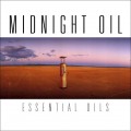 Midnight Oil - Essential Oils