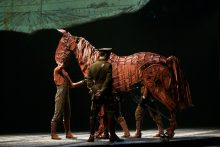 War Horse photo by Ros OGorman