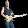 Sting photo by Ros O'Gorman