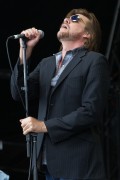 Tex Perkins A Day On The Green, 2013, Photo Ros O'Gorman