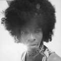 Sly Stone, Noise11, photo