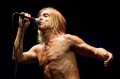 Iggy & The Stooges, Bluesfest 2013, Noise11, Ian Laidlaw, Photo