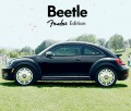 Beetle Fender, Noise11, Photo