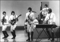 Paul Revere and the Raiders, Noise11, Photo