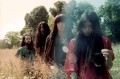 Bo Ningen, Photo, Noise11