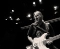 Walter Trout, music news, Noise11.com