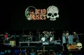 The Dead Daisies live in the USA
