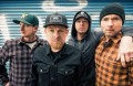 Millencolin, music news, noise11.com