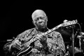 BB King Photo by Damien Loverso
