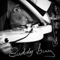 Buddy Guy Born To Play Guitar, music news, noise11.com