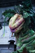Audrey ll in Little Shop of Horrors. Photo by Ros O'Gorman