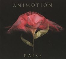 Animotion