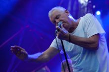 A Day In The Gardens in the Botanical Gardens Melbourne on Friday 10 March 2017. Ross Wilson, Daryl Braithwaite and John Farnham each performed a set for the first A Day In The Gardens held over the March 2017 Moomba long weekend in Melbourne. Photo Ros O'Gorman