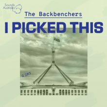 The Backbenchers Playlist