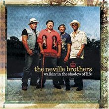 Neville Brothers Walkin In The Shadows of Love