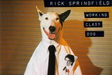Rick Springfield Working Class Dog