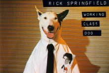 Rick Springfield Working Class Dog