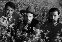 The Avett Brothers