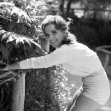 Dawn Wells