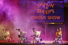 Shaun the Sheep's Circus Show photo by Prudence Upton
