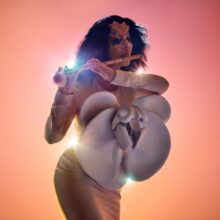 Bjork photo Warren Du Preez and Nick Thornton Jones