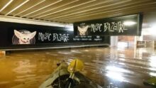 Music Bizarre flood of 2017