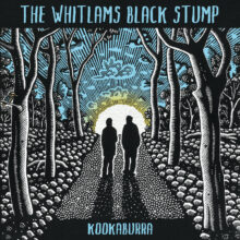 The Whitlams Black Stump Band Kookaburra